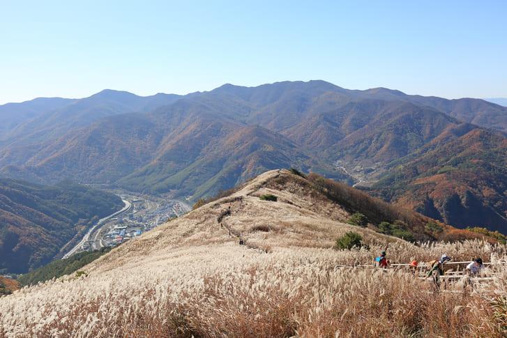 민둥산 억새 명소 (1).jpg