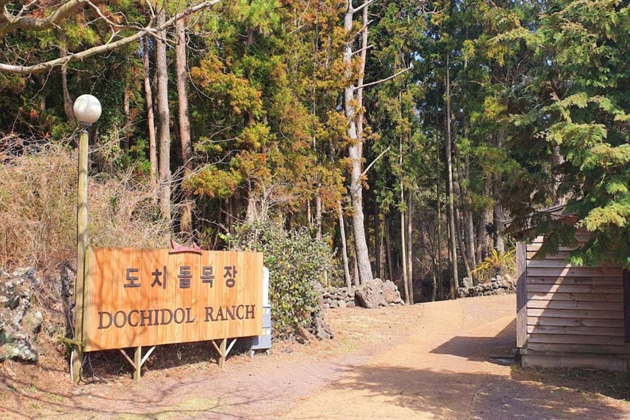 도치돌 알파카목장2.jpg