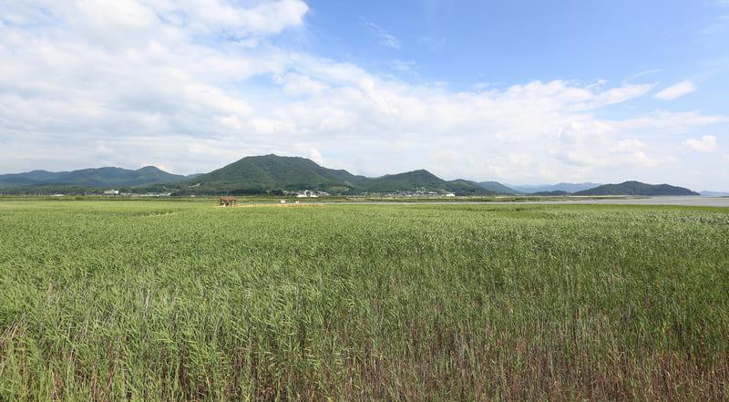 강진만생태공원 (4).jpg