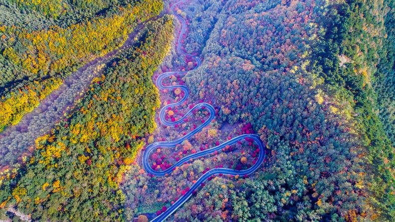 보발재 가을 여행 (1).jpg