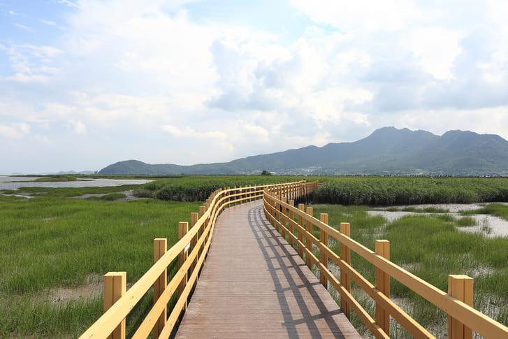 강진만생태공원 (5).jpg