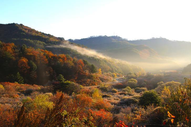 비밀의정원 (3).jpg