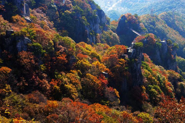 대둔산 가을 단풍 명소 (1).jpg