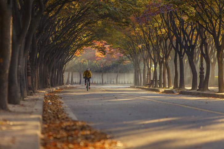 인천대공원 (6).jpg