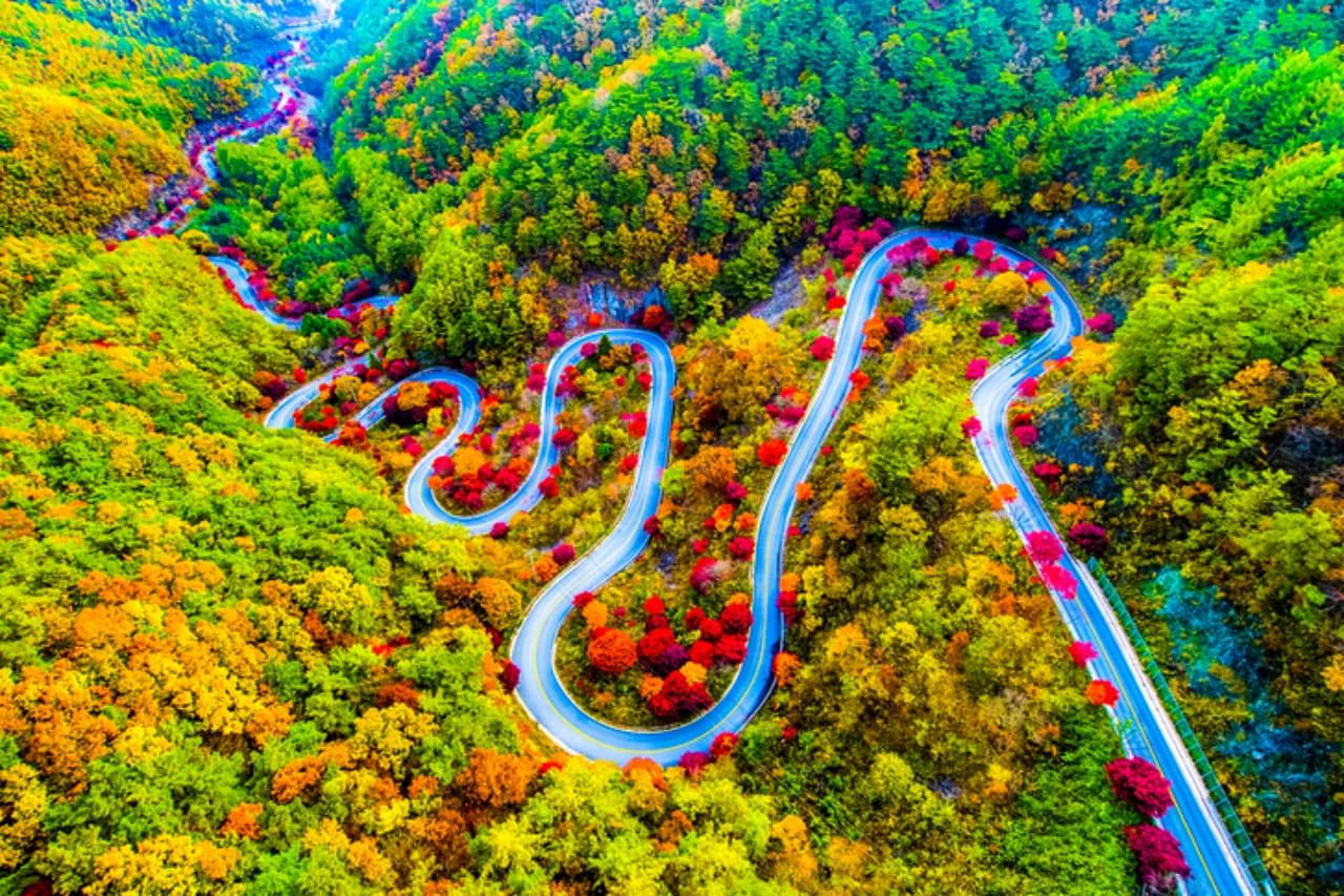 보발재 가을 여행 (5).jpg