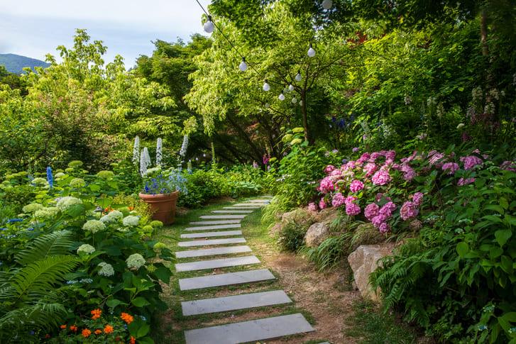 아침고요수목원 (6).jpg