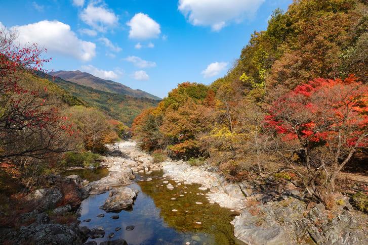 지리산 뱀사골 단풍 (3).jpg