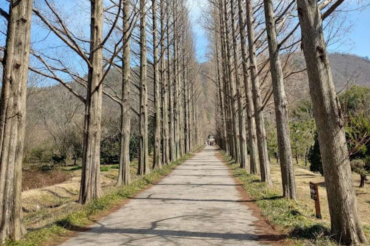 나주 산림연구원2.jpg