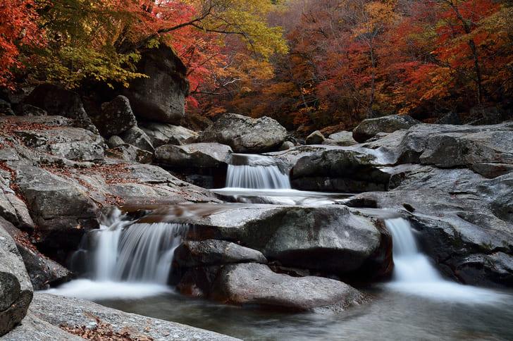 지리산 뱀사골 단풍 (4).jpg