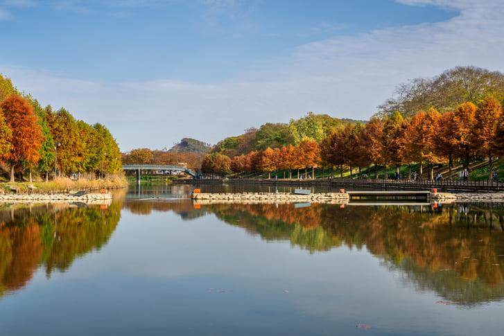 가을 여행지 관방제림 (2).jpg