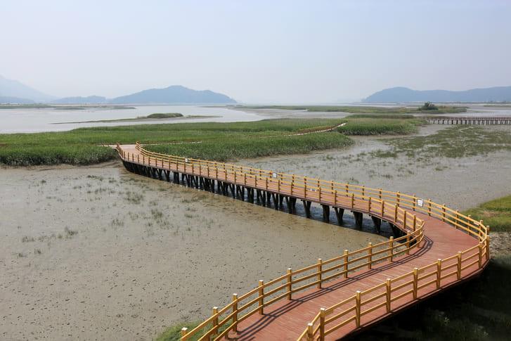 강진만생태공원 (3).jpg