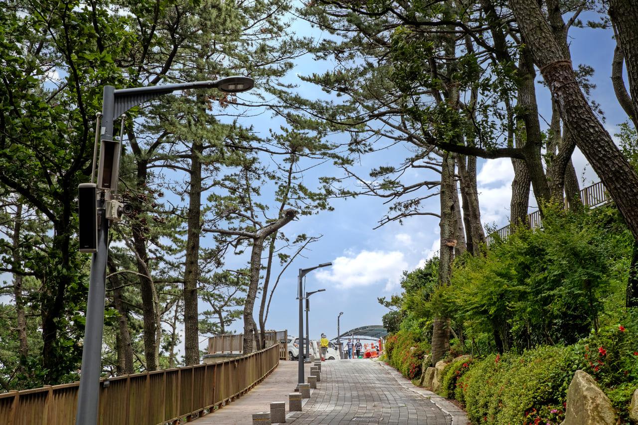 송도용궁구름다리 (3).jpg