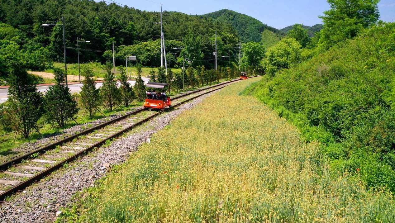 김유정 레일바이크2.jpg