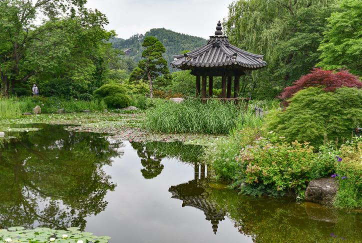 아침고요수목원 (3).jpg