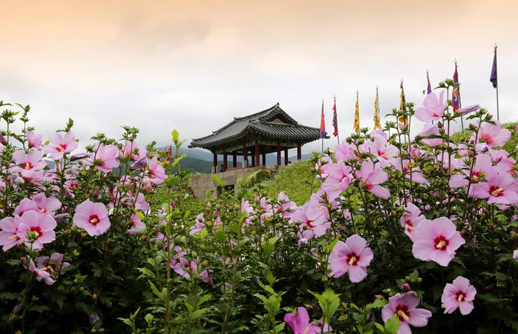 해미읍성 (1).jpg