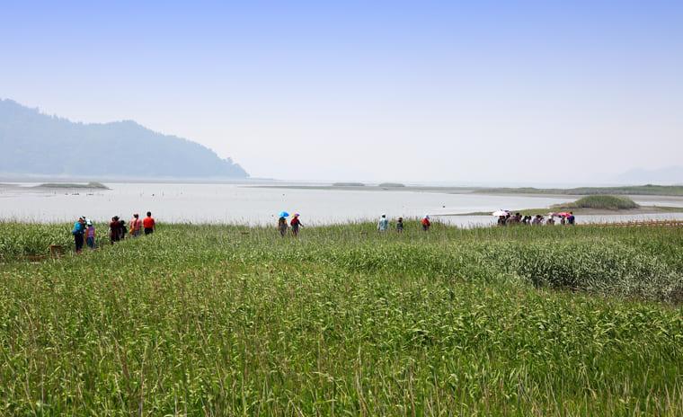 강진만생태공원 (2).jpg