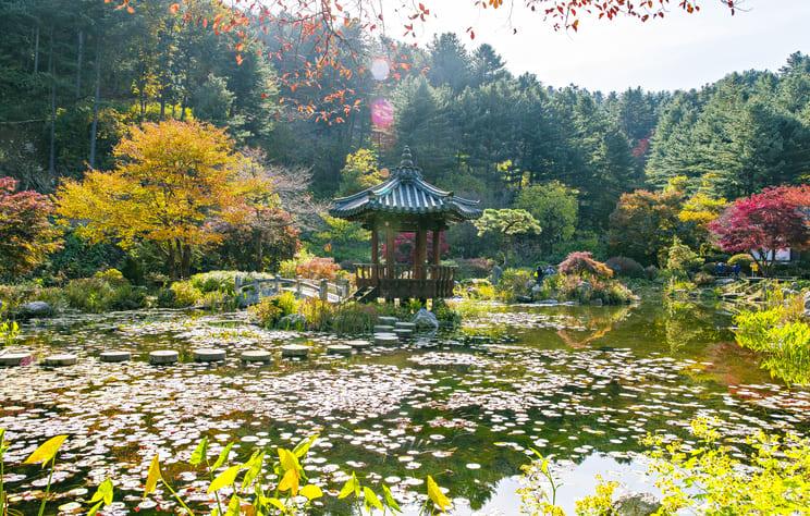 아침고요수목원 (1).jpg