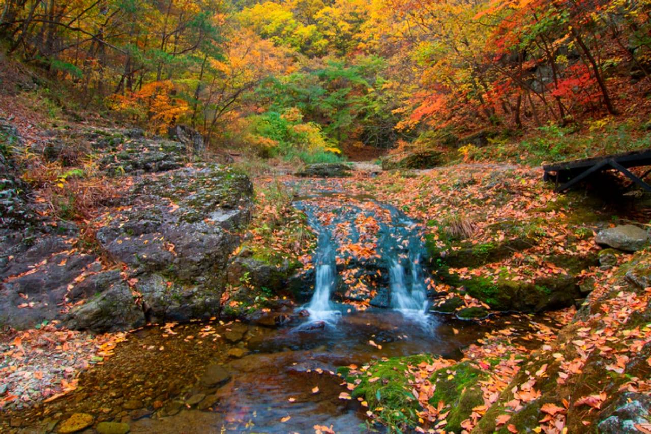 절골계곡 (1).jpg