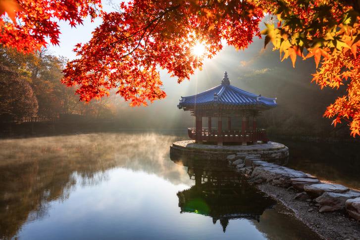 내장산 가을 단풍 (5).jpg