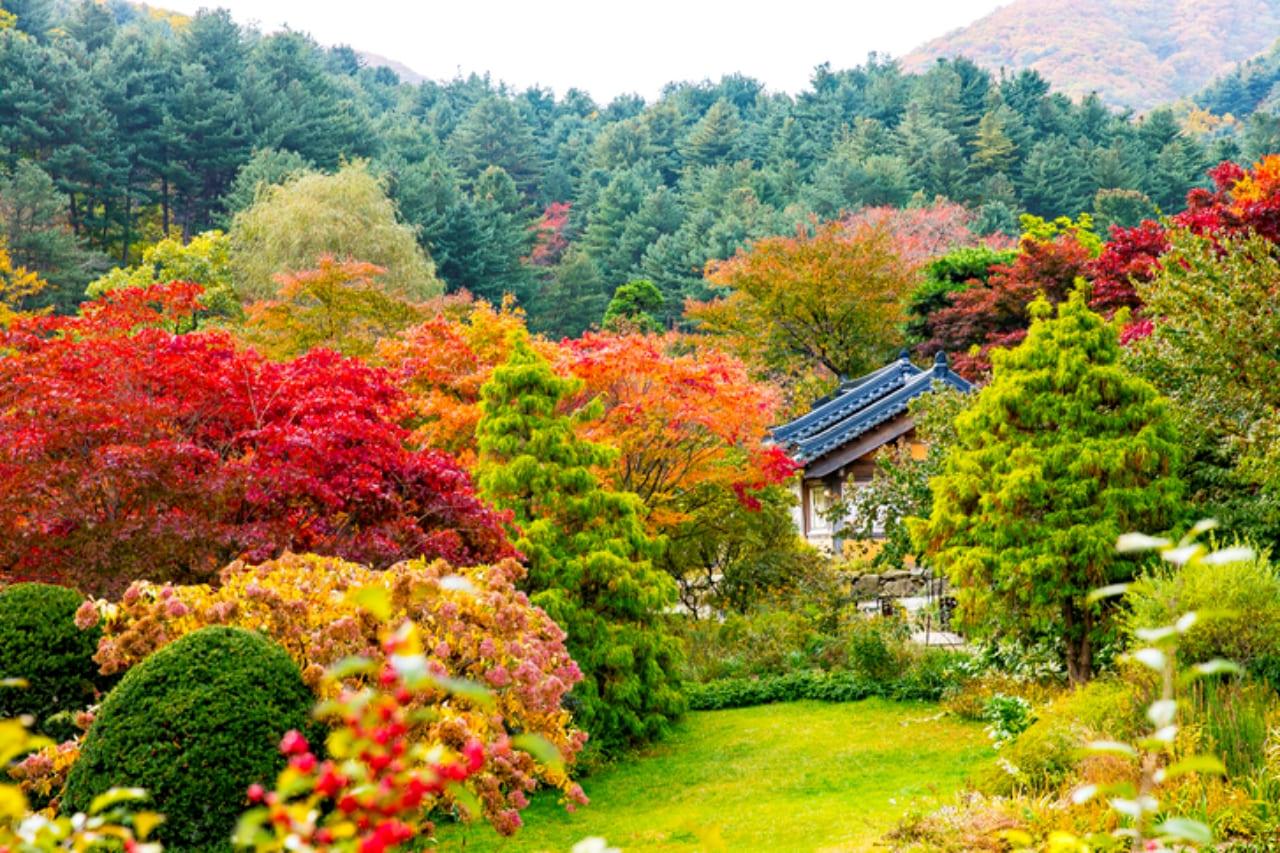 아침고요수목원 (5).jpg