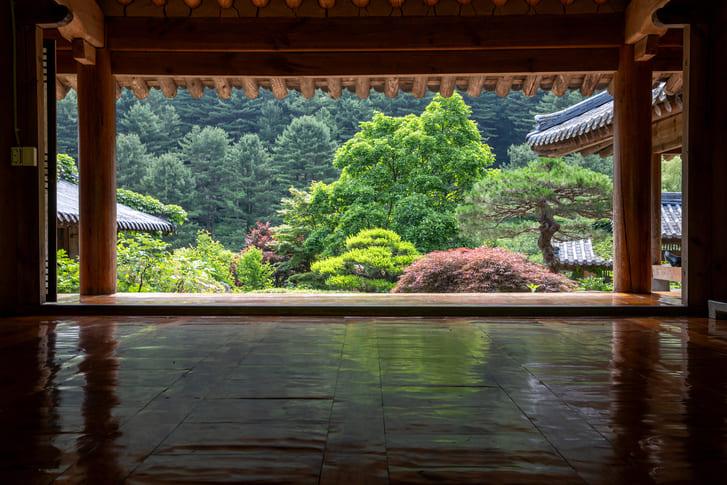 아침고요수목원 (7).jpg