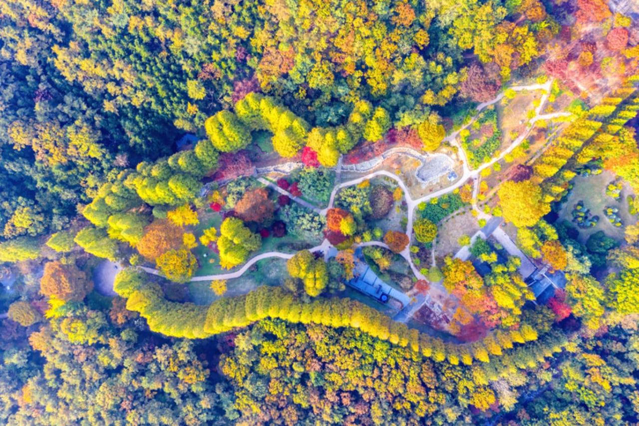 인천대공원 (4).jpg