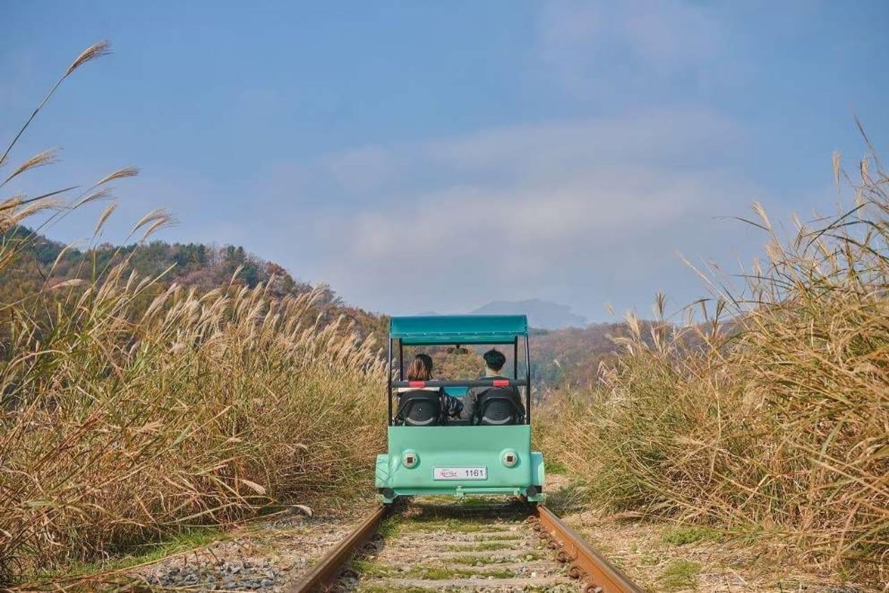 김유정 레일바이크.jpg