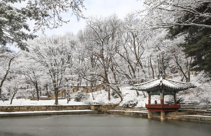 창덕궁 존덕정 (2).jpg