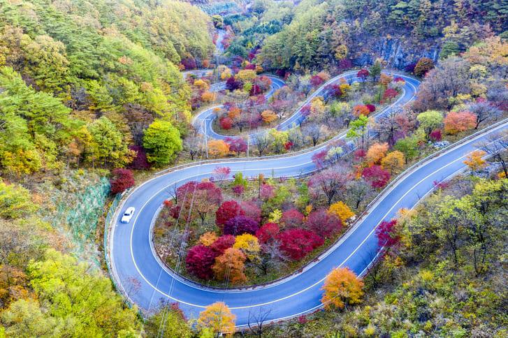 보발재 가을 여행 (4).jpg