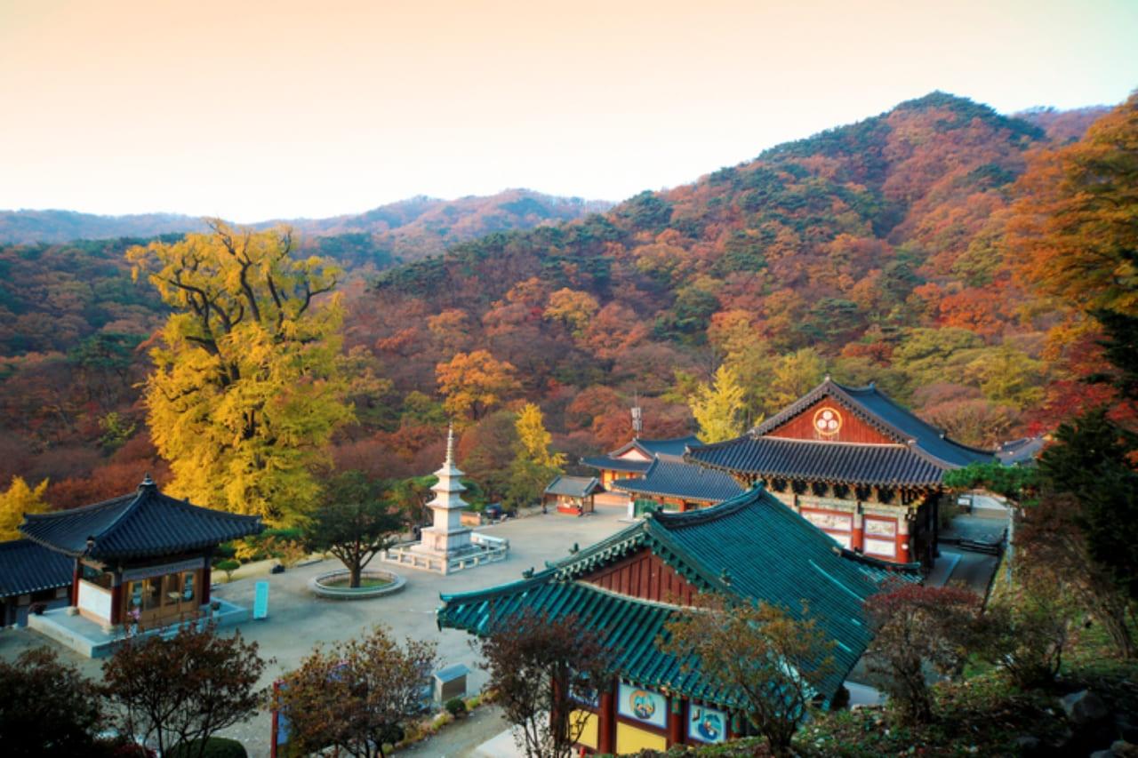 양평 용문사 (7).jpg