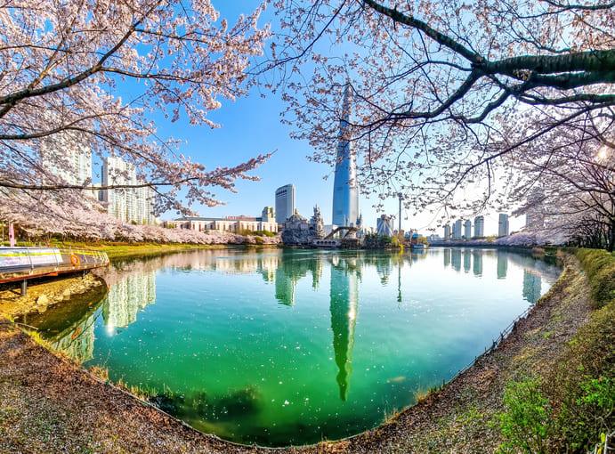 석촌호수 (1).jpg