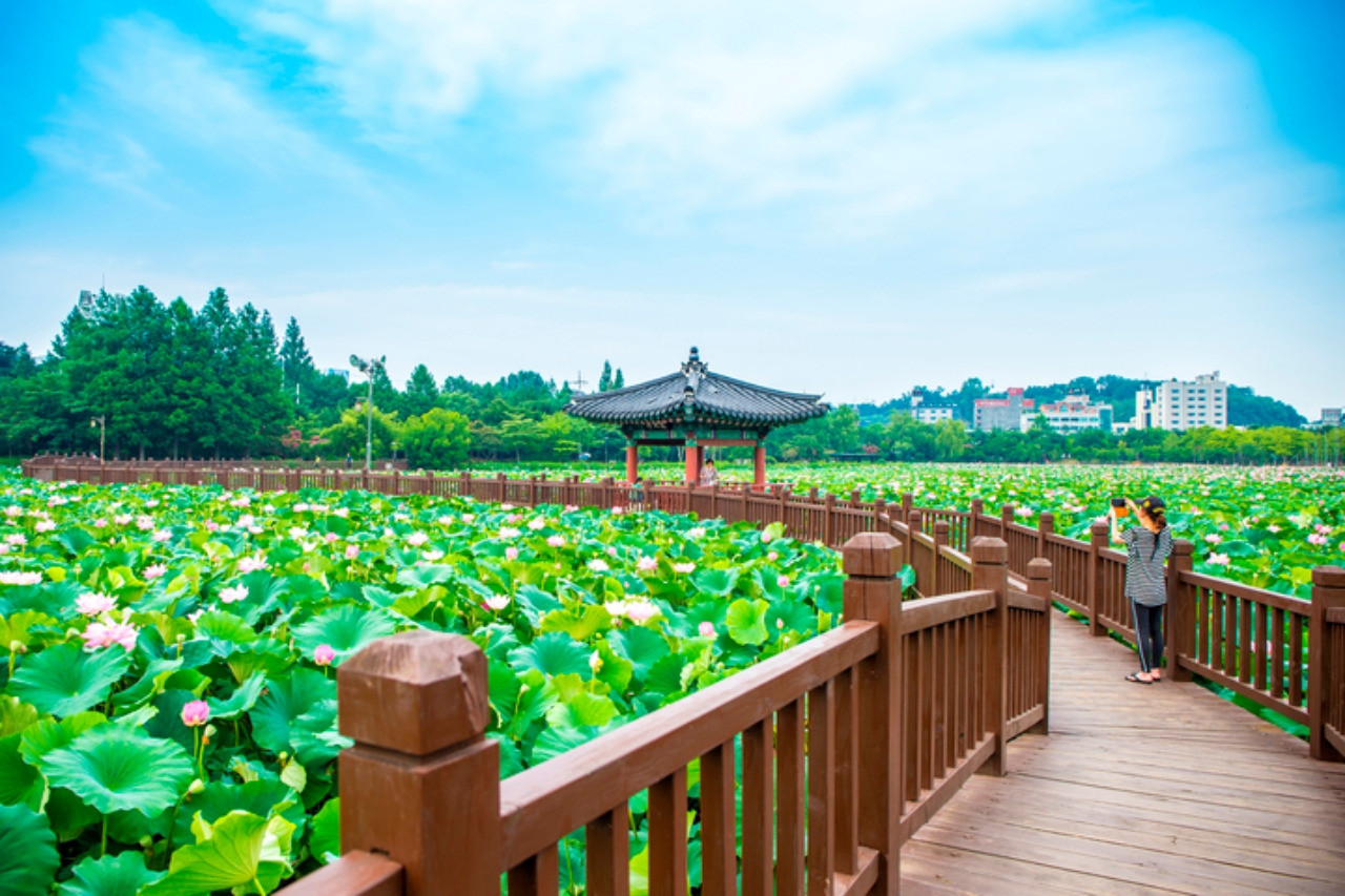 GettyImages-a12144029 (1).jpg