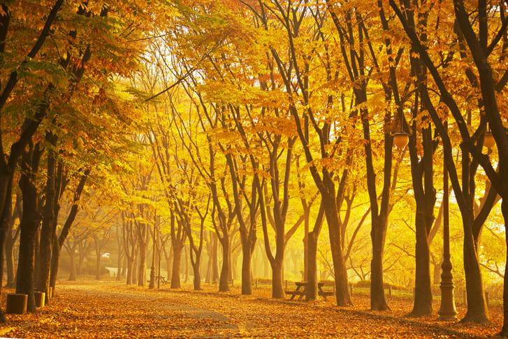 인천대공원 (1).jpg