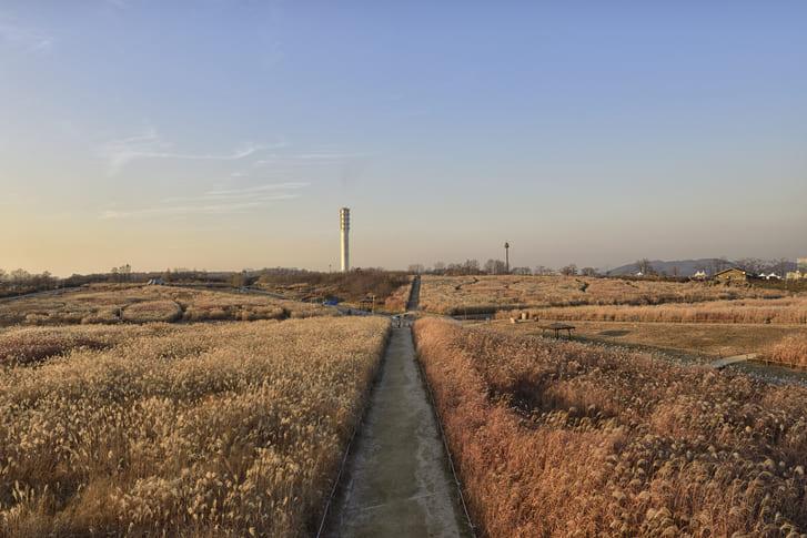 하늘공원 억새 명소 (3).jpg