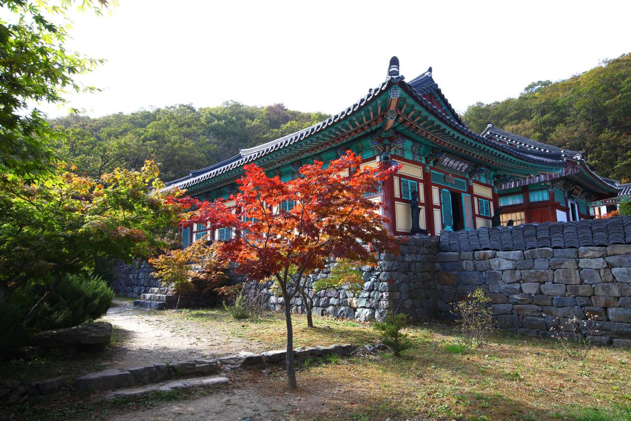 가을 단풍 명소 안국사 (4).jpg