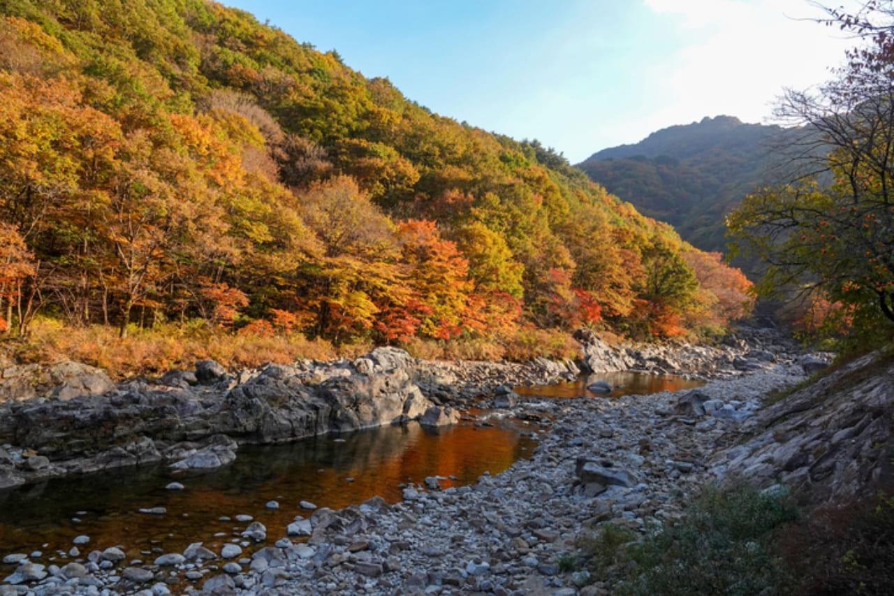 지리산 뱀사골 단풍 (5).jpg