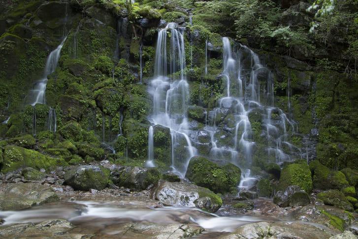 지리산 뱀사골 단풍 (1).jpg