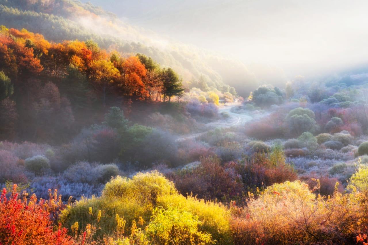 비밀의정원 (1).jpg