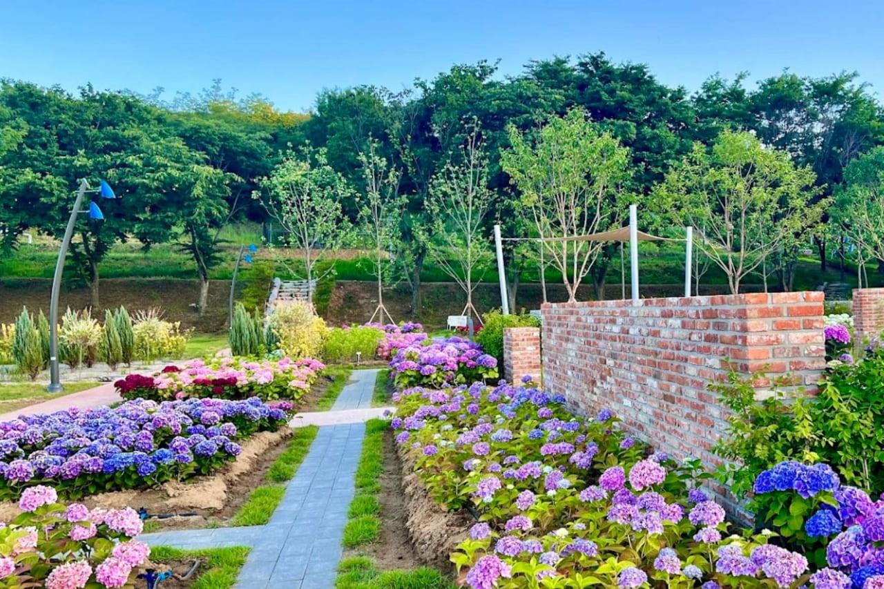 구미 다온숲.jpg