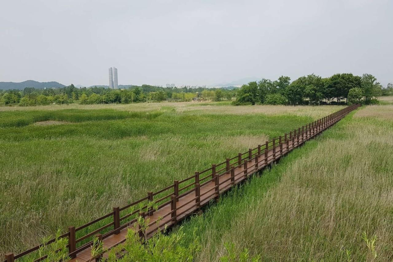 안산갈대습지2.jpg