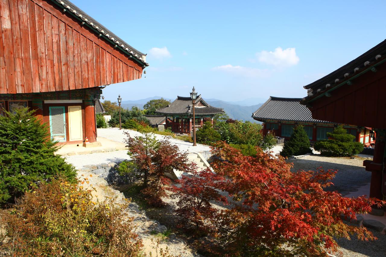 가을 단풍 명소 안국사 (6).jpg