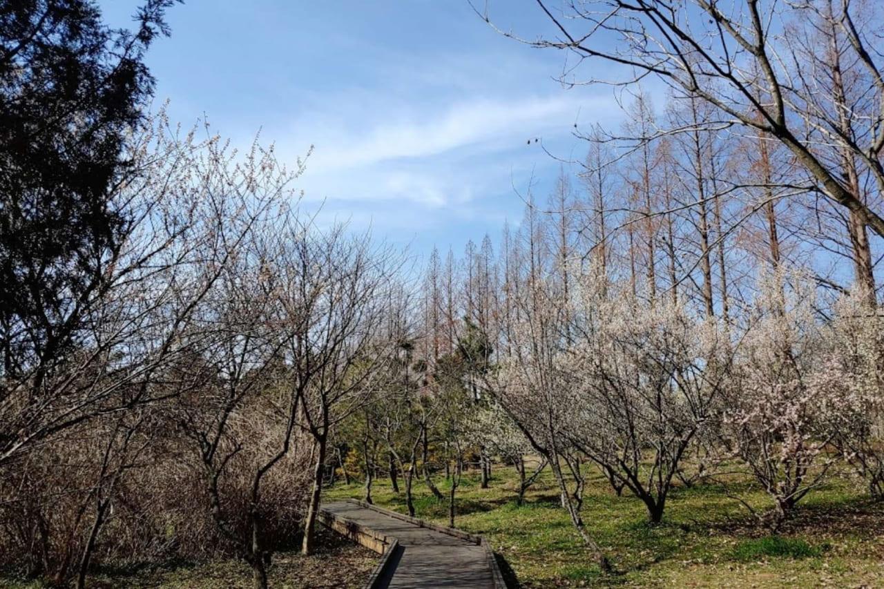나주 산림연구원.jpg