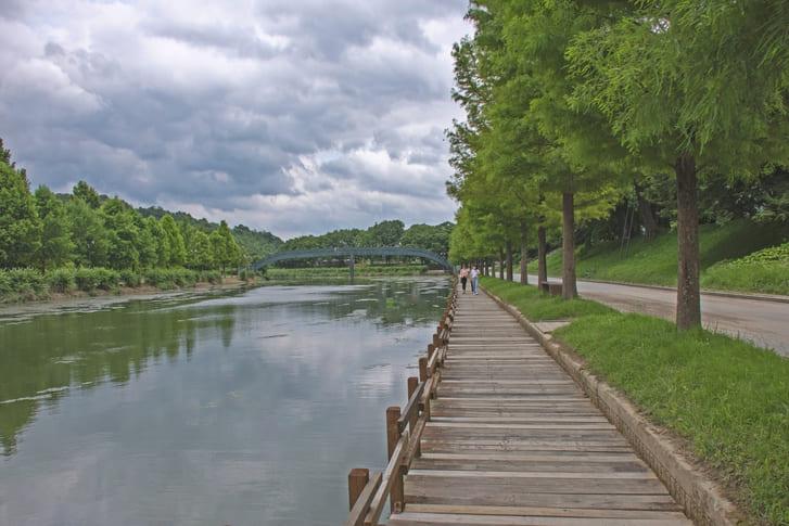 가을 여행지 관방제림 (1).jpg