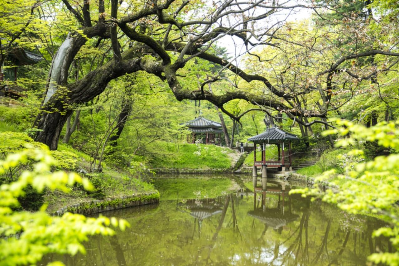 창덕궁 존덕정 (1).jpg