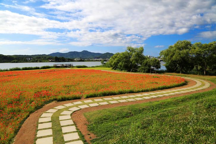 GettyImages-a12228009 (1).jpg