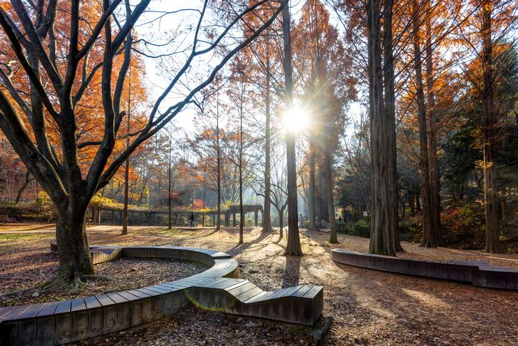 인천대공원 (3).jpg