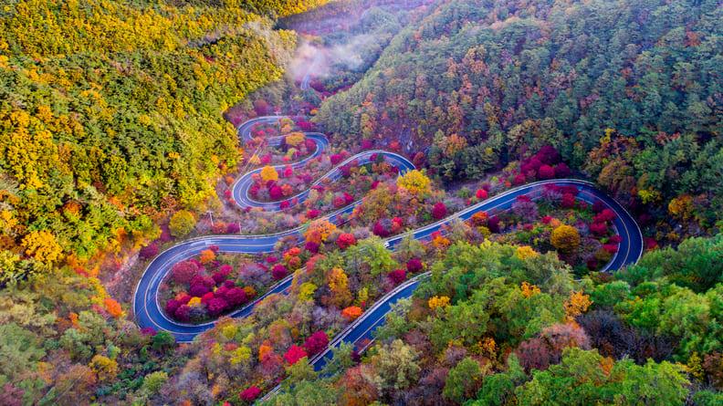 보발재 가을 여행 (2).jpg