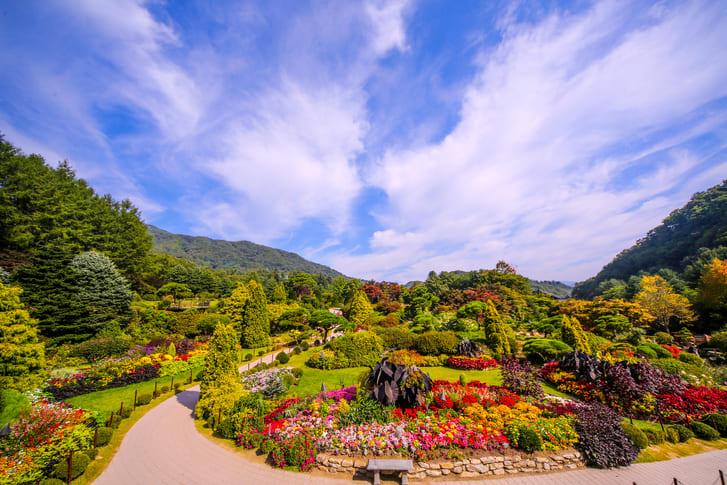 아침고요수목원 (4).jpg