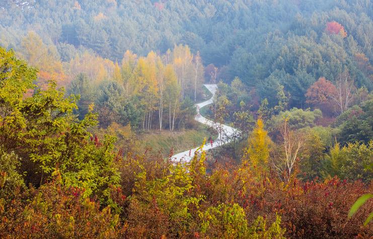 비밀의정원 (2).jpg