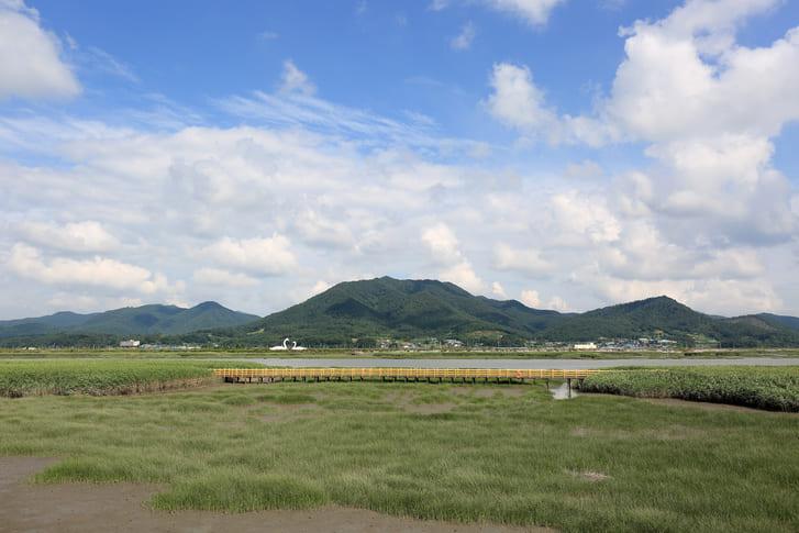 강진만생태공원 (6).jpg